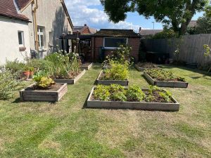 broscots-garden-maintenance